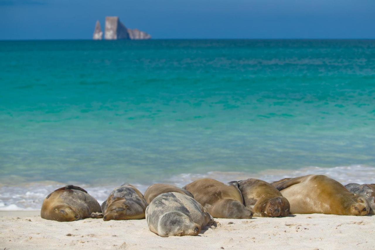 Suite Cielo, Discover The Magic Of Galapagos ปูแอร์โต บาเกริโซ โมเรโน ภายนอก รูปภาพ